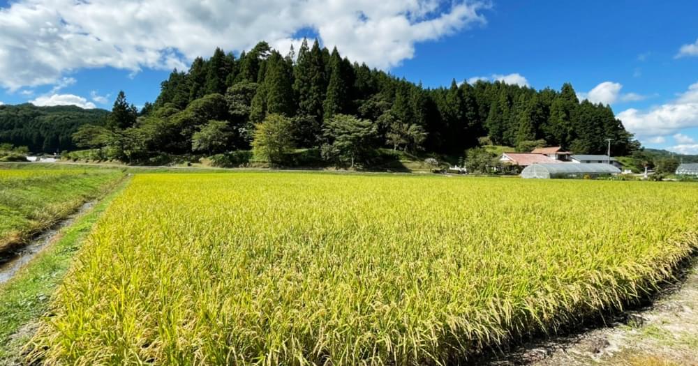 生産者について