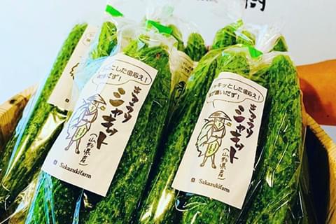 無農薬、無化学肥料にこだわった山形県産の美味しい野菜